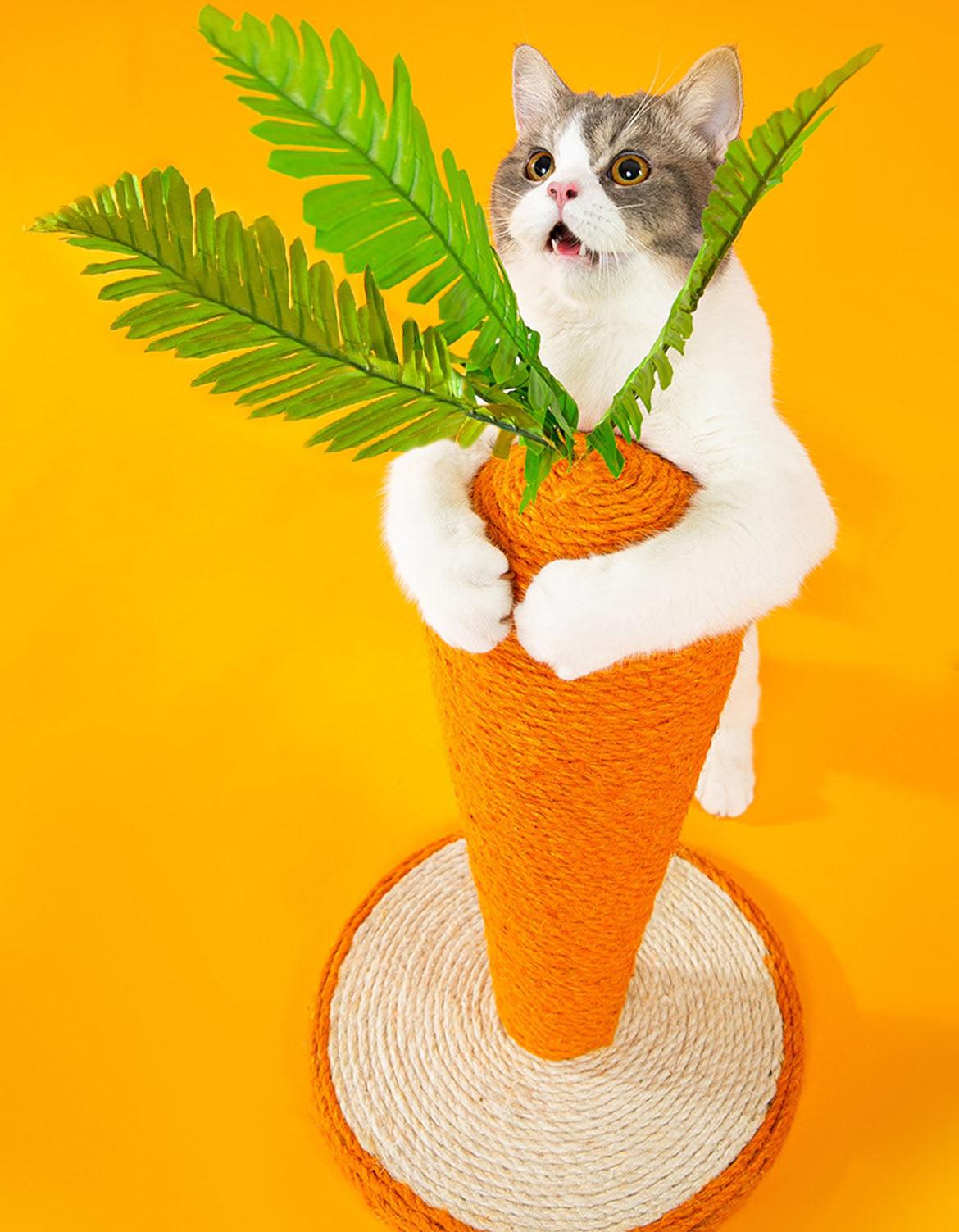 Calo's Carrot, Cat Toy, Hemp Rope, Cat Scratcher
