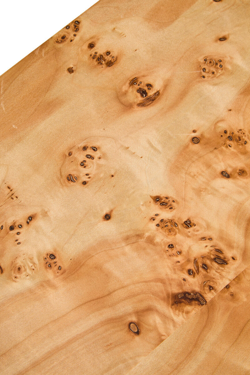 Natural Burl Wood Curved Coffee Table with Smooth Curved Edges, Mota