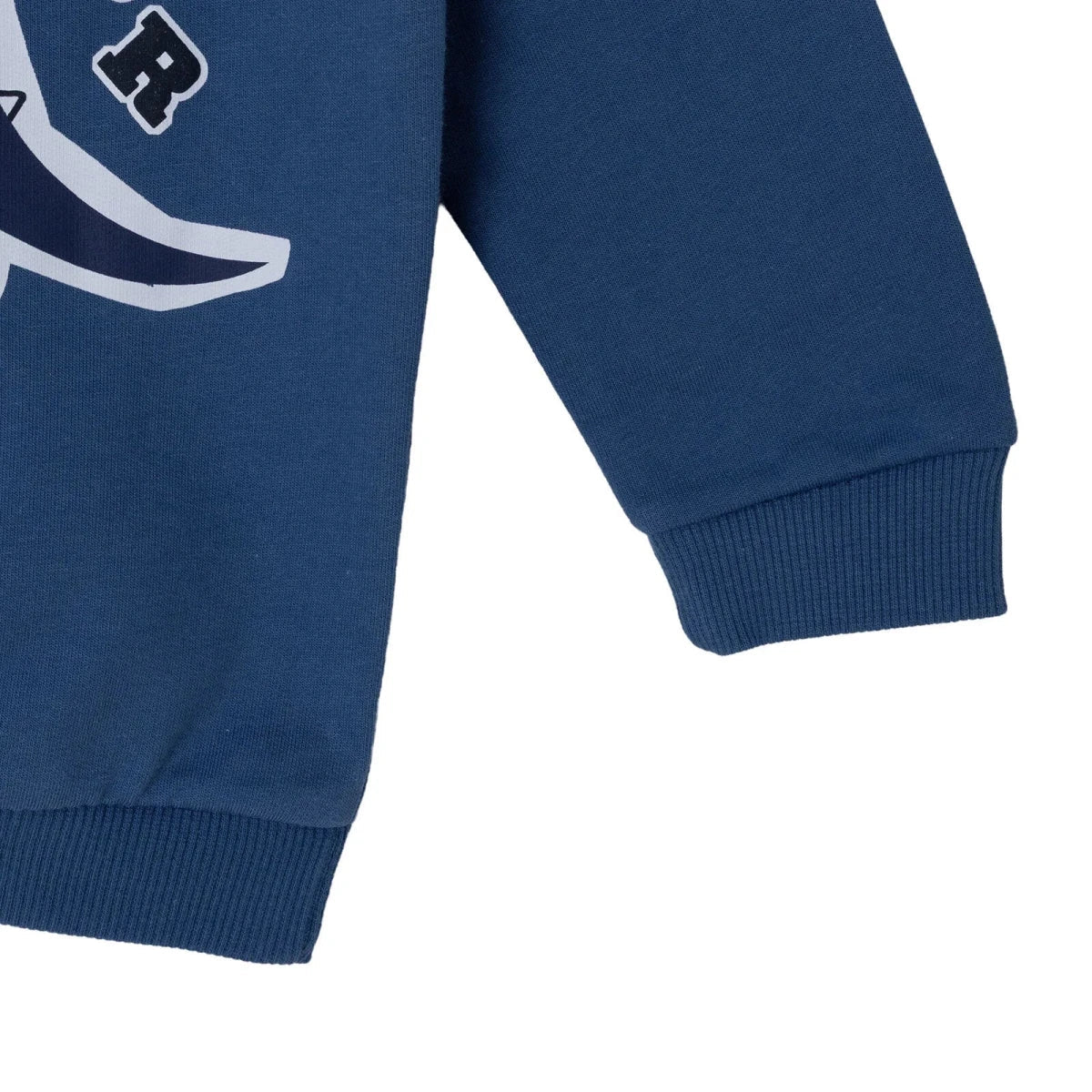 HelloBaby Dinosaur Print Brushed Loopback Baby Sweatshirt (3-6 Months to 4-5 Years)