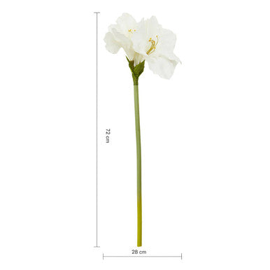 Fiori Ivory Amaryllis Flower Stem