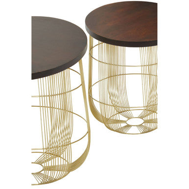 Set of 2 Brown Mango Wood Side Tables with Gold Finish Metal Base, Agra