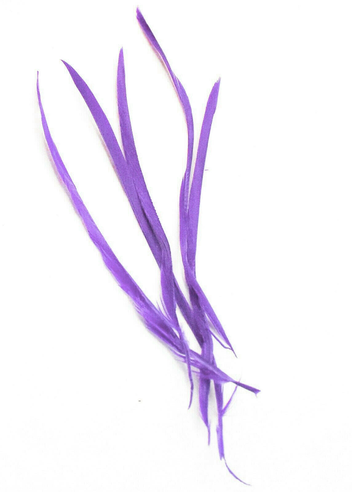 Long Fascinator Feathers Stripped Goose Biot Millinery Hats Trimmings Coloured