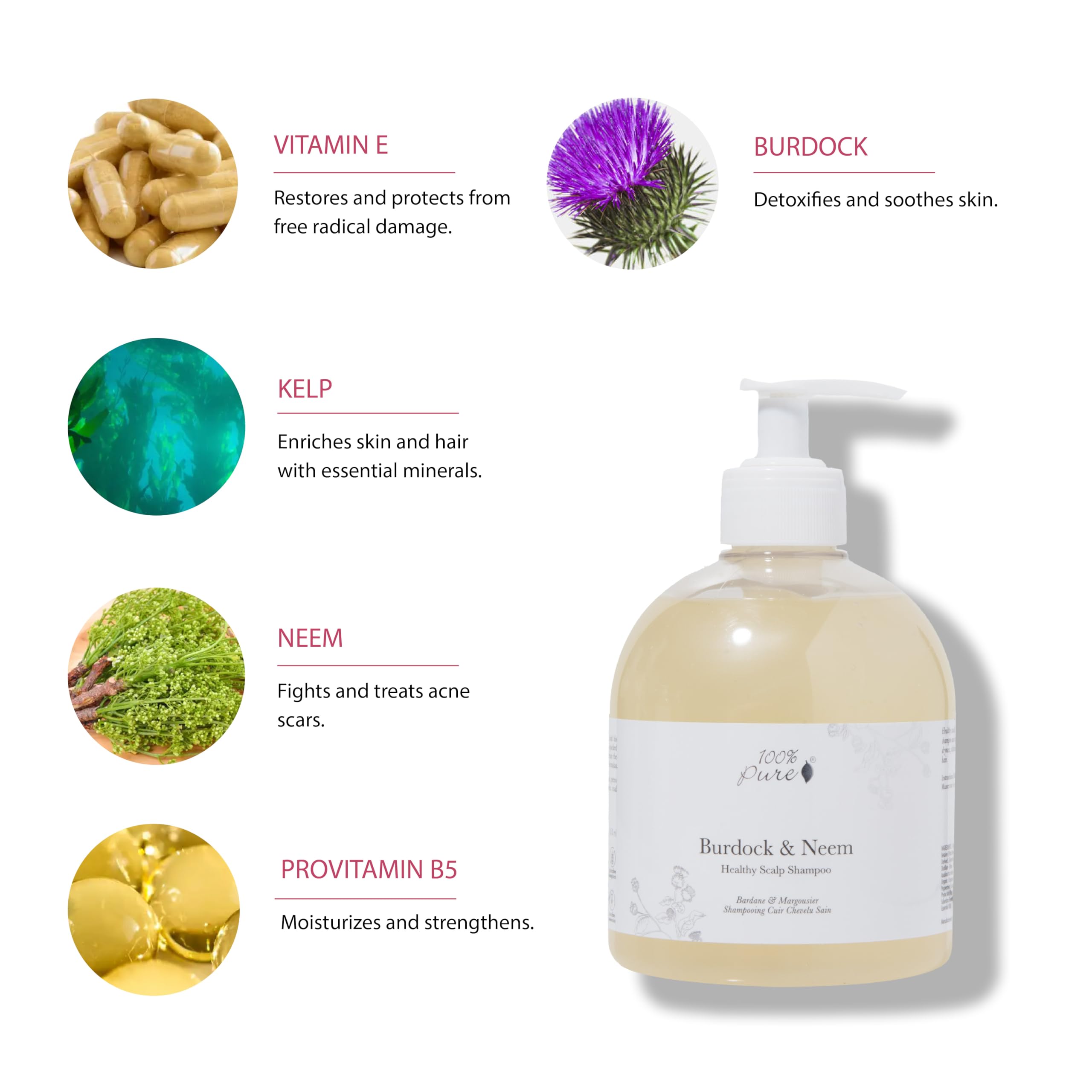 100% PURE Burdock & Neem Healthy Scalp Shampoo – For Dry, Itchy Scalp
