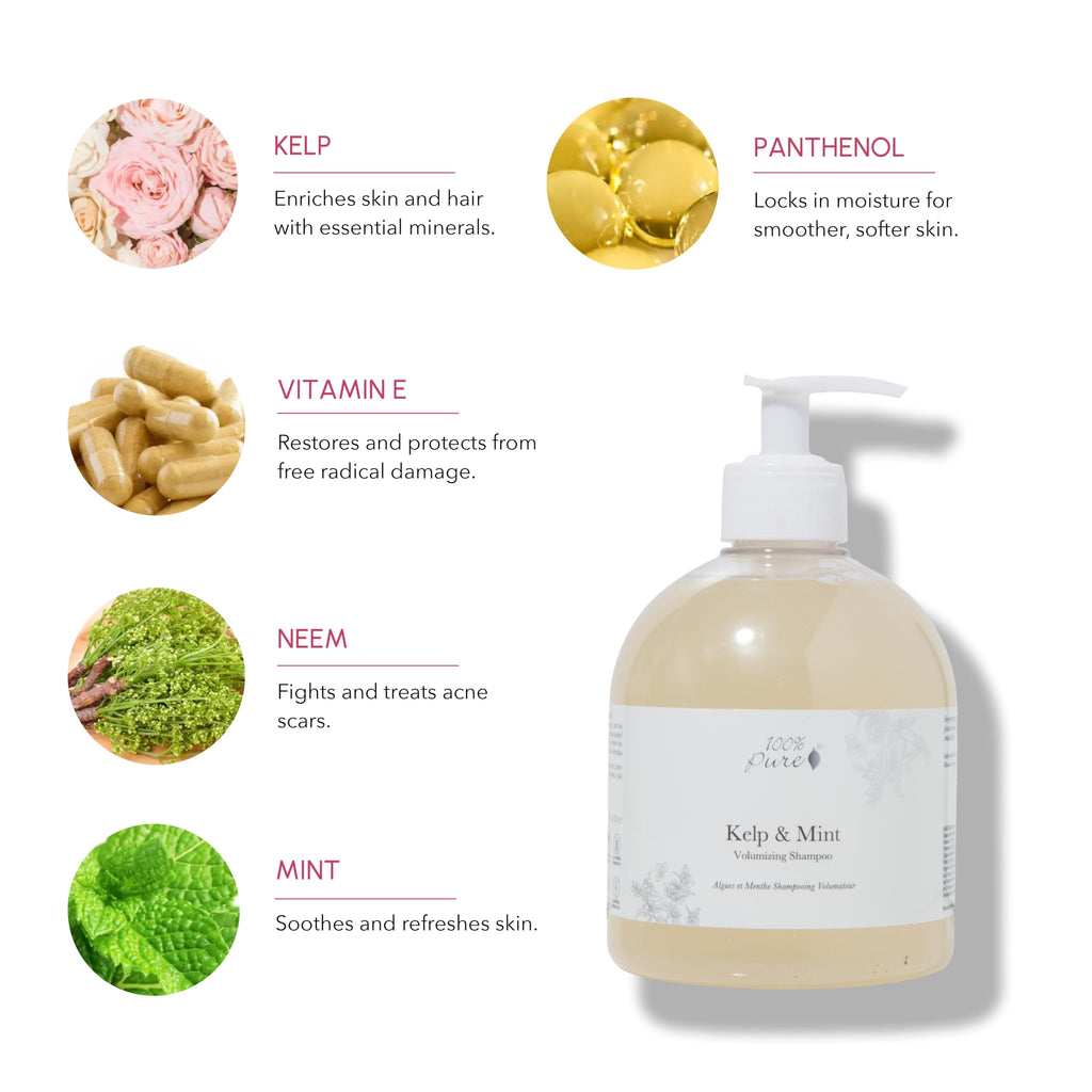 100% PURE Kelp & Mint Volumizing Shampoo – Purifying Detox for Dry, Damaged, Thinning Hair | Sulfate Free 16 Fl Oz