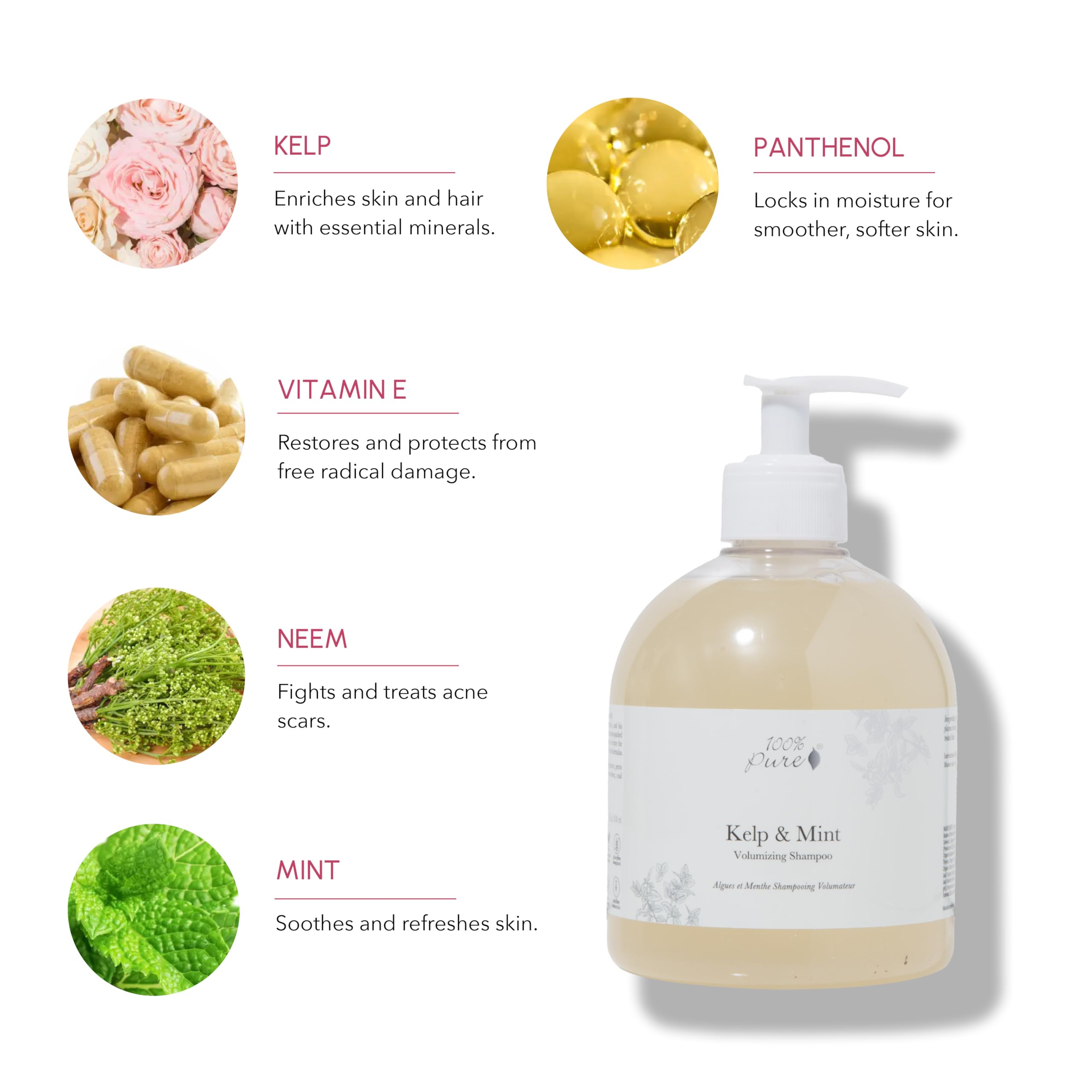 100% PURE Kelp & Mint Volumizing Shampoo – Purifying Detox for Dry, Damaged, Thinning Hair | Sulfate Free 16 Fl Oz