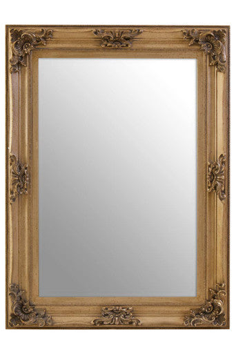 Antoinette Antique Bronze Wood Rectangular Wall Mirror with Carved Motifs