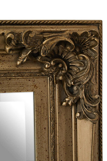 Antoinette Antique Bronze Wood Rectangular Wall Mirror with Carved Motifs