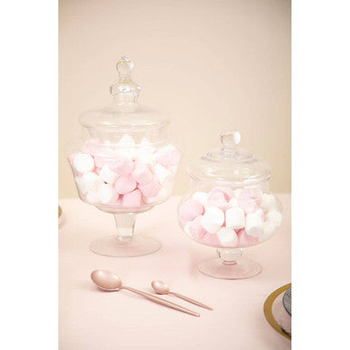 Olivia Clear Glass Candy Small Storage Jar