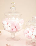 Clear Glass Candy Large Storage Jar | Olivia
