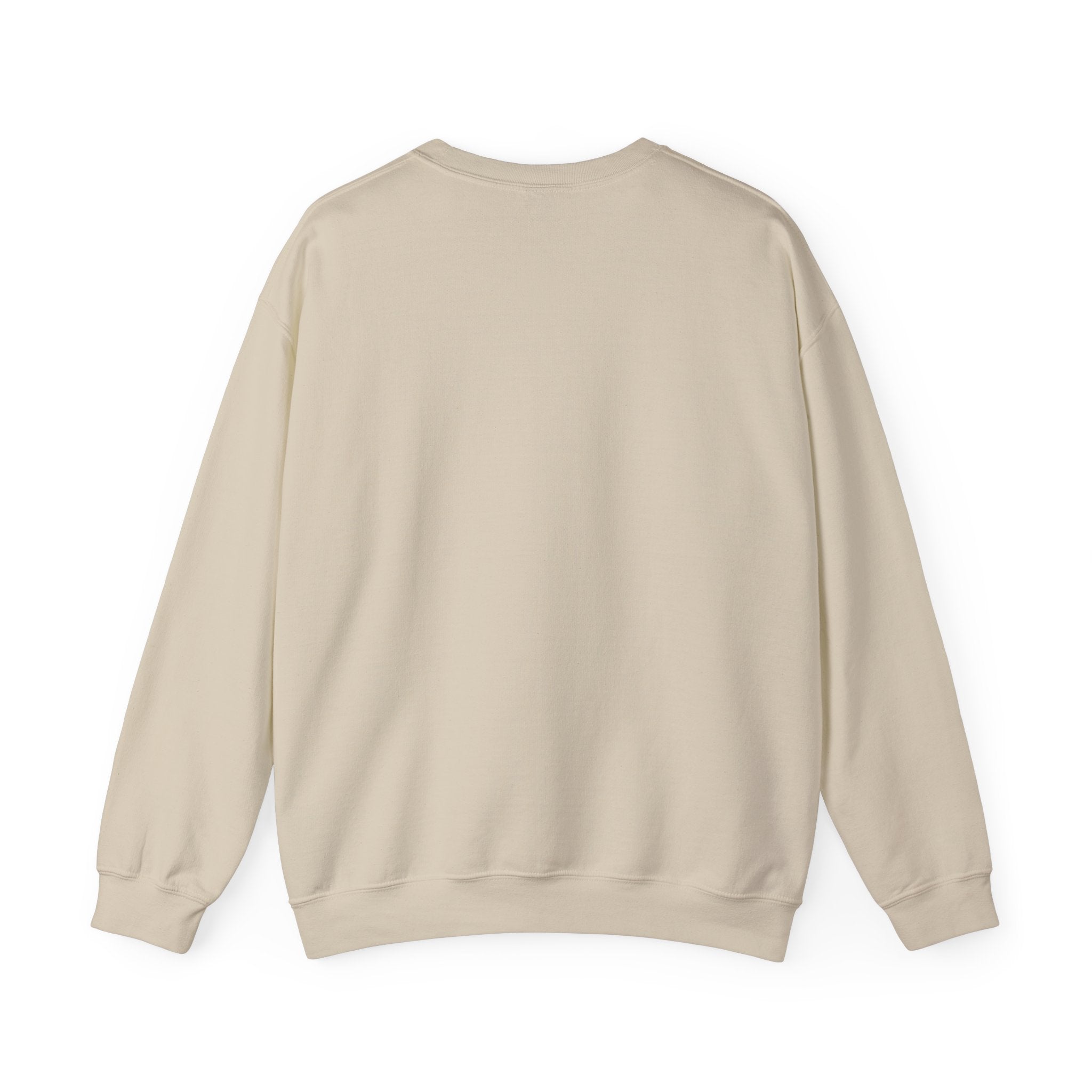 New Day Crewneck Sweatshirt — Minimal Positive Graphic Pullover