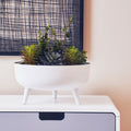 Alina White Metal Round Footed Planter with Angular Base