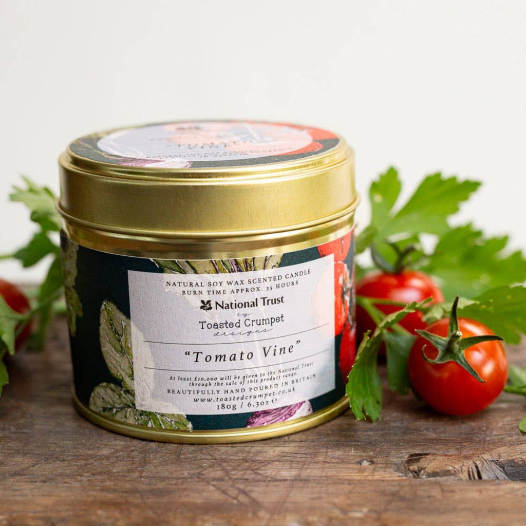 Tomato Vine Candle in a Matt Gold Tin