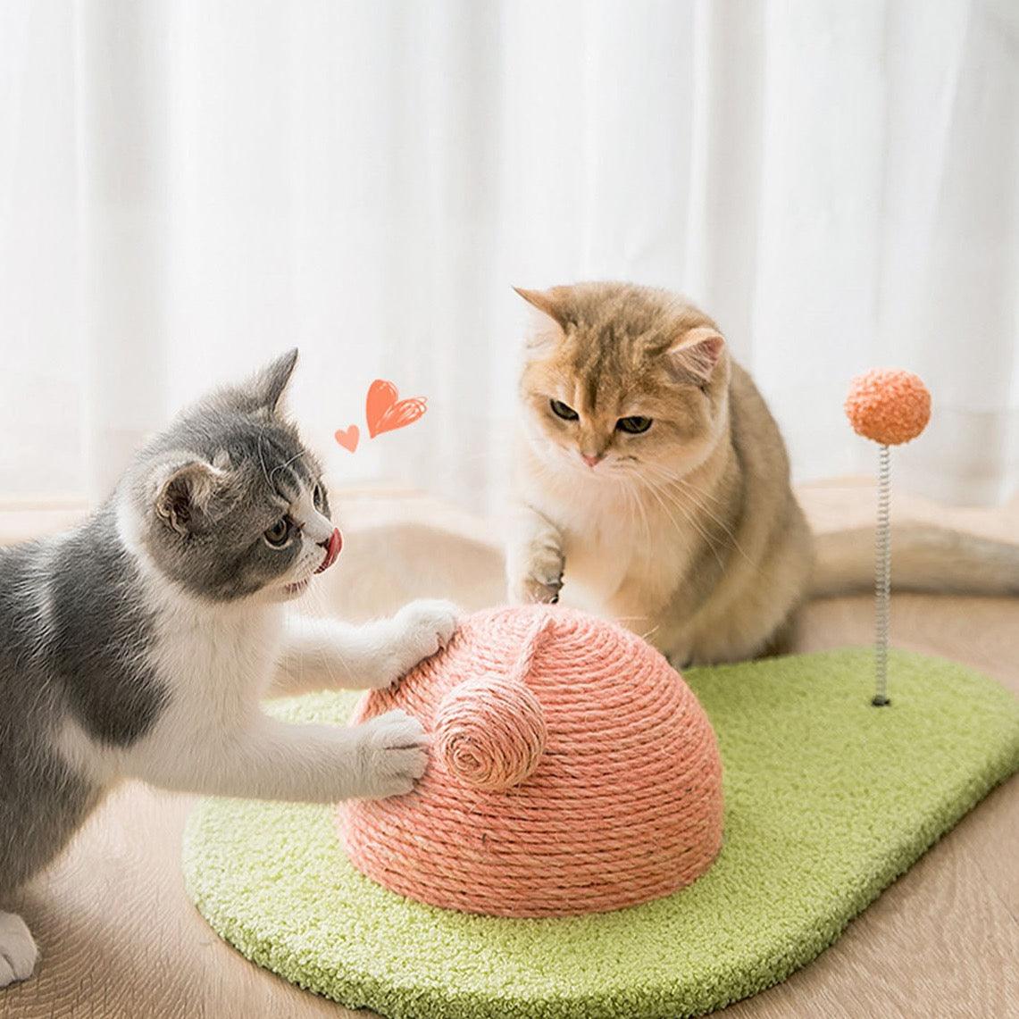 Don's Avocado, Cat Toy, Cat Scratcher