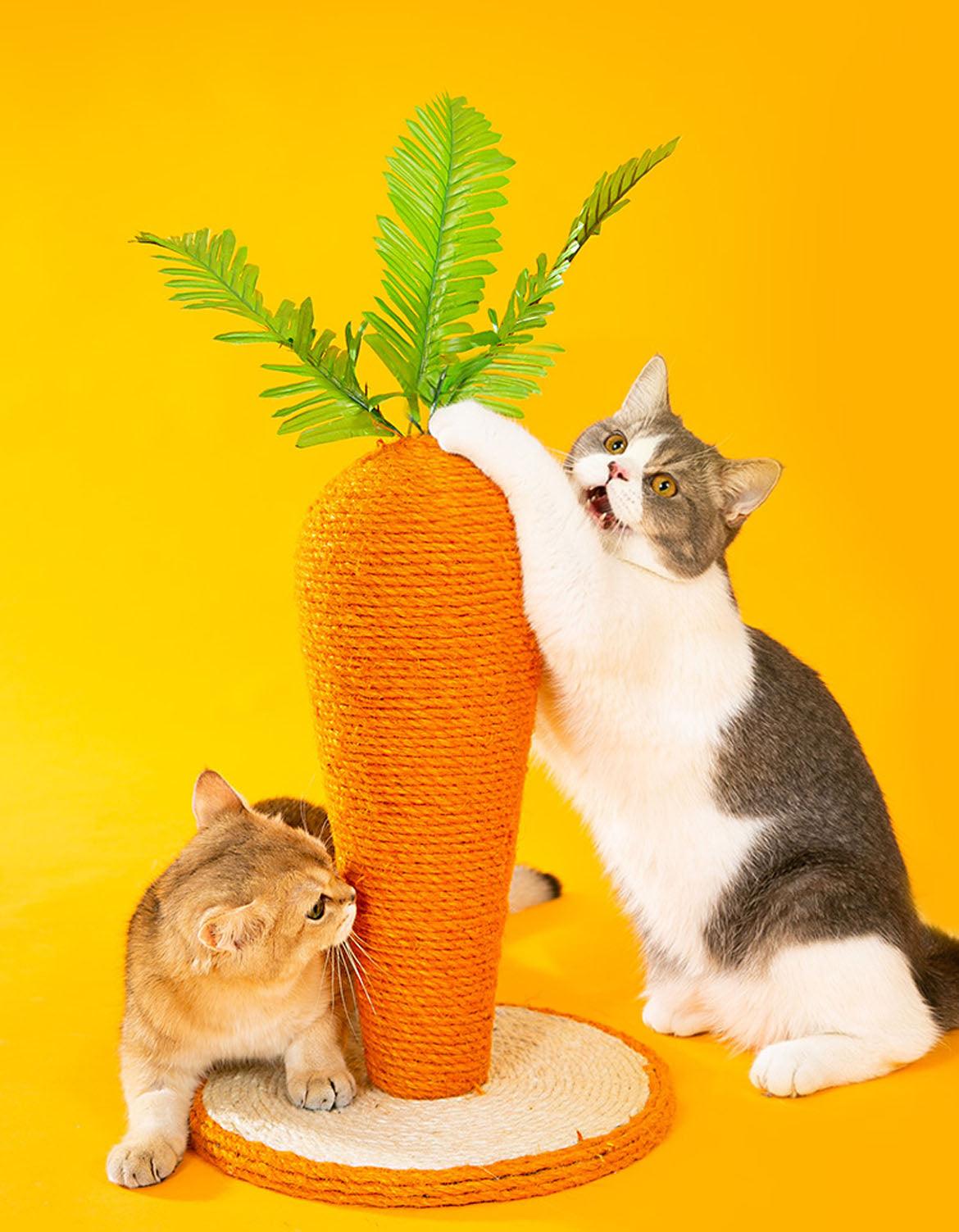 Calo's Carrot, Cat Toy, Hemp Rope, Cat Scratcher