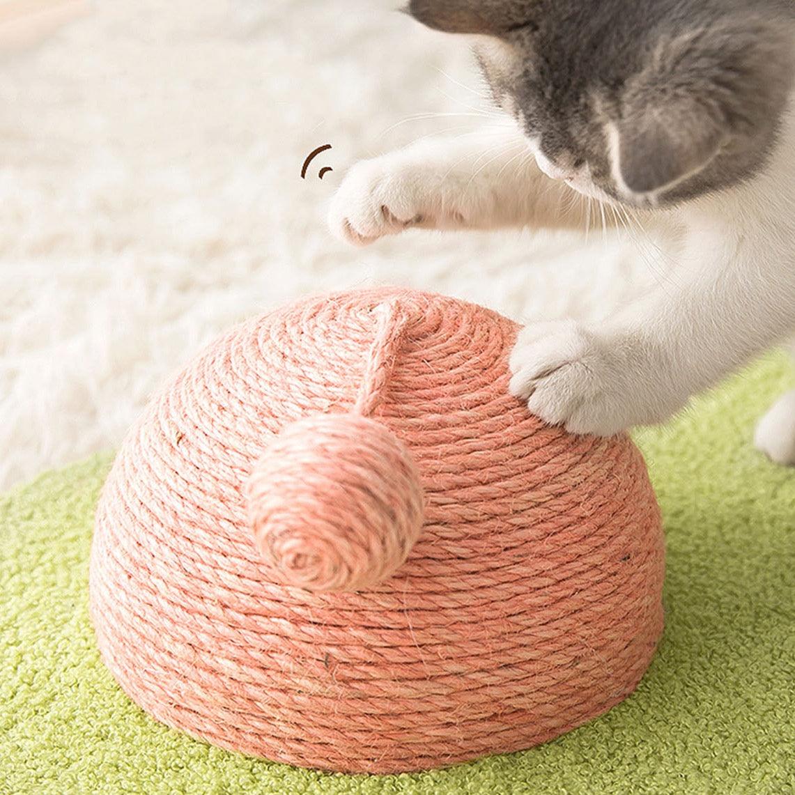 Don's Avocado, Cat Toy, Cat Scratcher