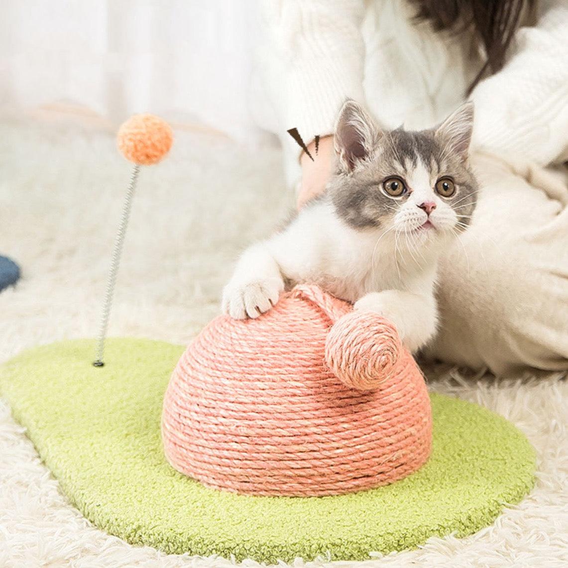 Don's Avocado, Cat Toy, Cat Scratcher