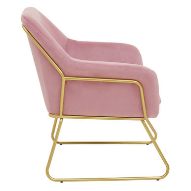 Xander Pink Velvet Modern Accent Chair with Gold Finish Base