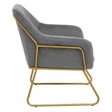 Xander Grey Velvet Accent Chair with Gold Finish Base
