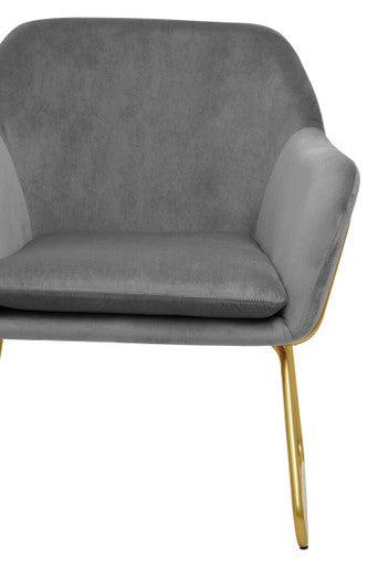 Xander Grey Velvet Accent Chair with Gold Finish Base