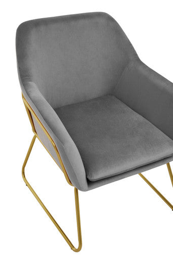 Xander Grey Velvet Accent Chair with Gold Finish Base