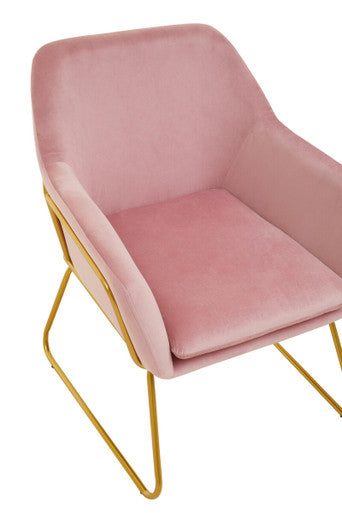 Xander Pink Velvet Accent Chair with Gold Finish Base