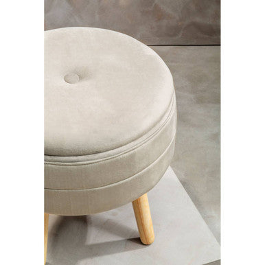Ivy Mink Velvet Storage Stool with Wooden Legs