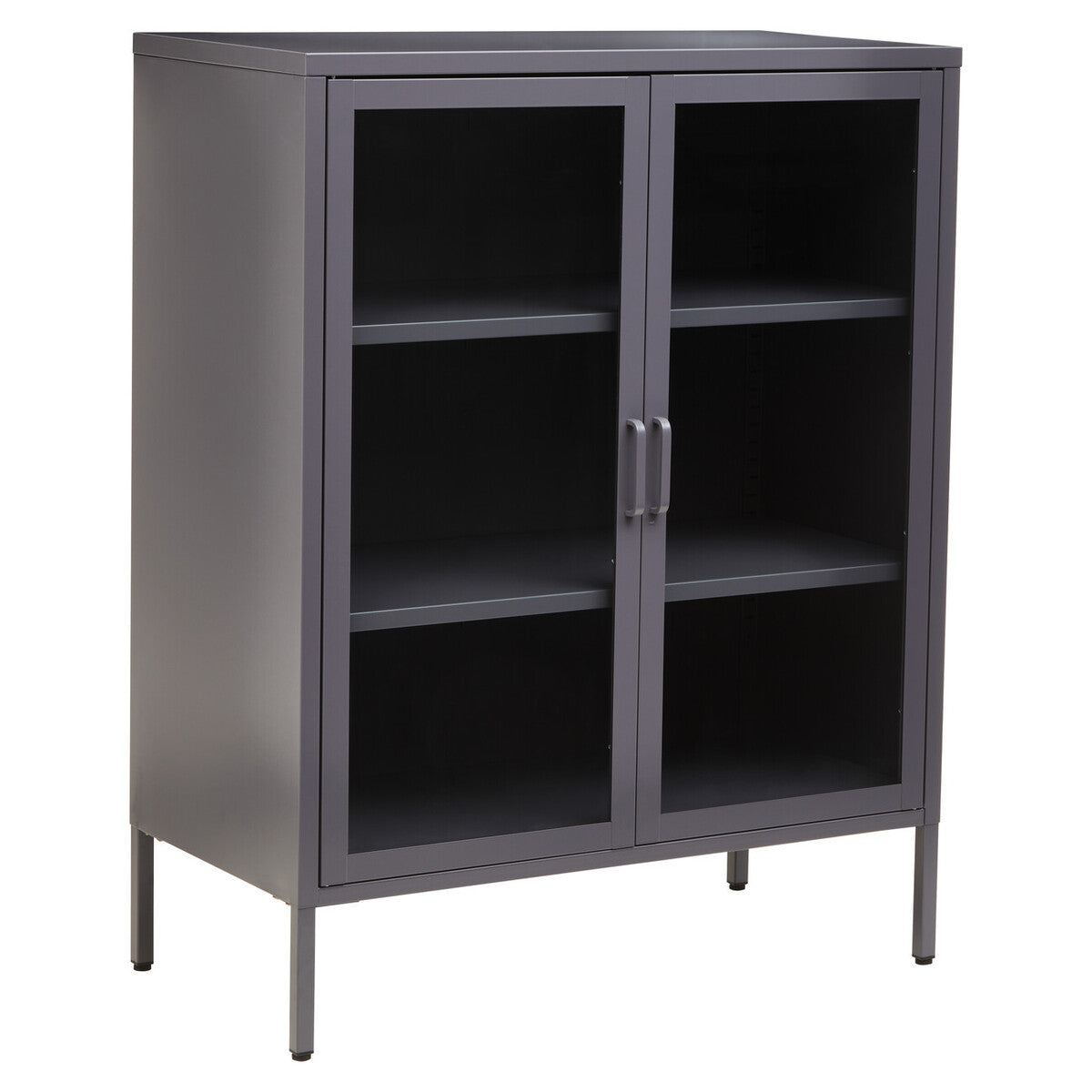 Acier Grey Metal and Glass Two Door Cabinet with Adjustable Shelves