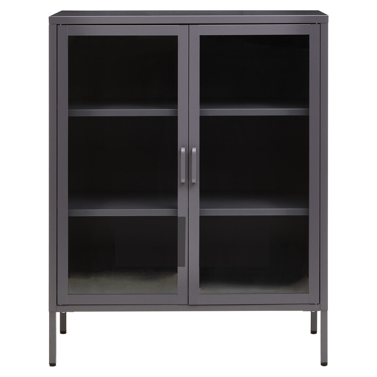 Acier Grey Metal and Glass Two Door Cabinet with Adjustable Shelves