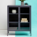 Acier Grey Metal and Glass Two Door Cabinet with Adjustable Shelves