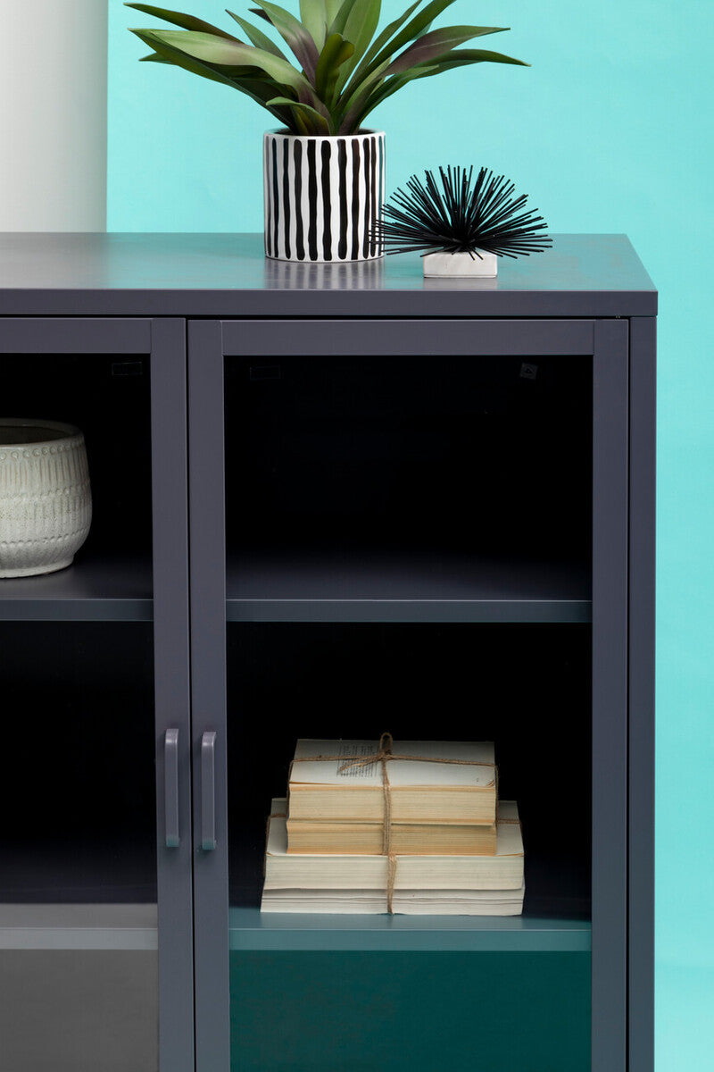 Acier Grey Metal and Glass Two Door Cabinet with Adjustable Shelves