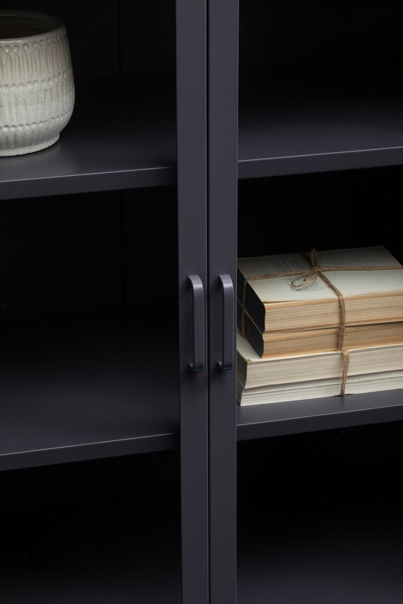 Acier Grey Metal and Glass Two Door Cabinet with Adjustable Shelves
