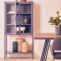 Acier Grey Metal and Glass Two Door Cabinet with Open Lower Shelf