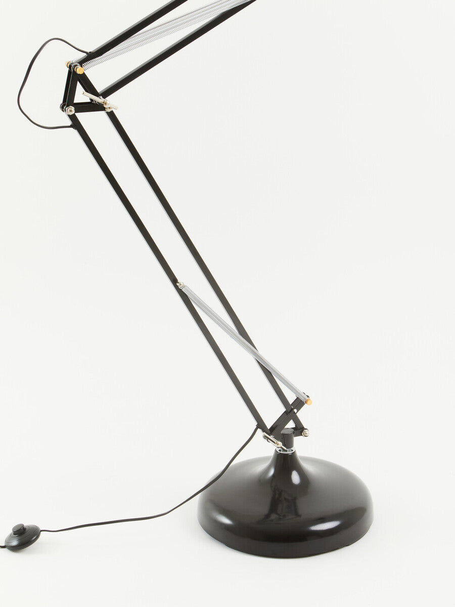 Study Floor Lamp