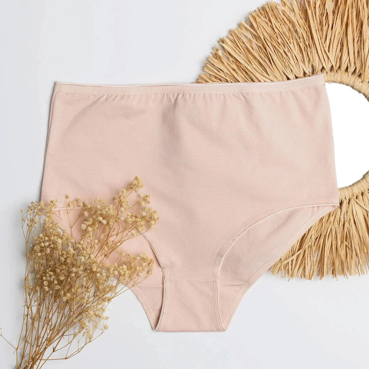 Baby Mom Women's Maternity Briefs (M to 2XL)