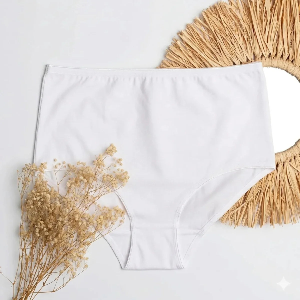 Baby Mom Women's Maternity Briefs (M to 2XL)