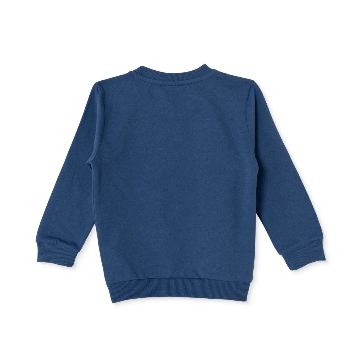 HelloBaby Dinosaur Print Brushed Loopback Baby Sweatshirt (3-6 Months to 4-5 Years)