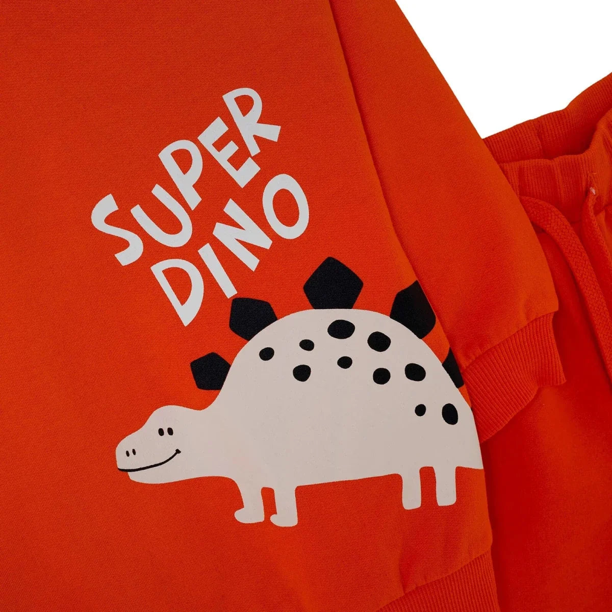 HelloBaby Dinosaur Print Hooded Baby Sweatshirt & Joggers Set (6-9 Months to 4-5 Years)
