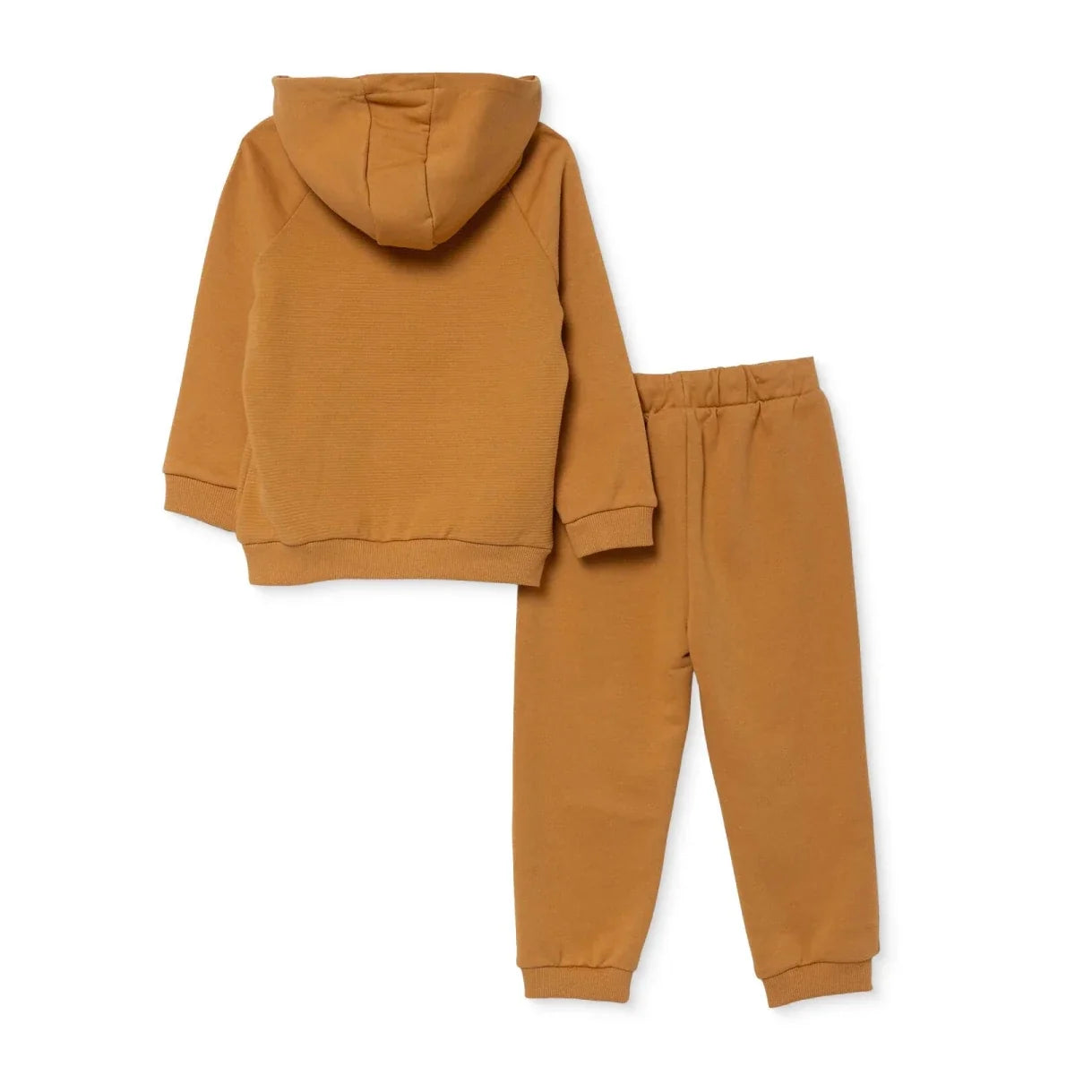 HelloBaby Bear Print Thick Hooded Baby Sweatshirt & Joggers Set (6-9 Months to 4-5 Years)