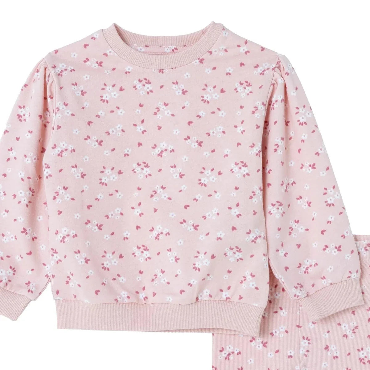 HelloBaby Floral Print Baby Sweatshirt & Leggings Set (3-6 Months to 4-5 Years)