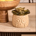 Large Succulent in Grey Ceramic Owl Pot | Fiori