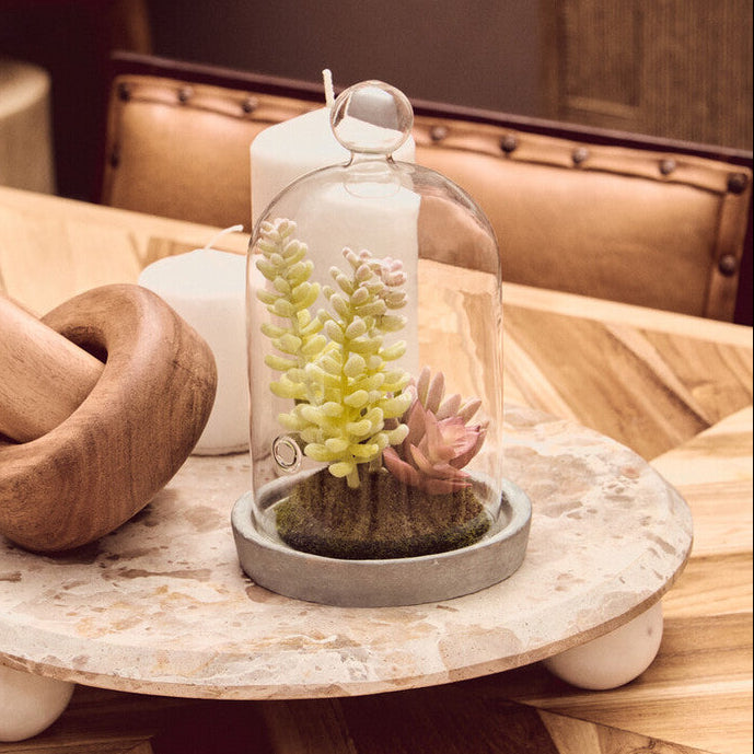 Fiori Small Succulent Dome With Cement Base