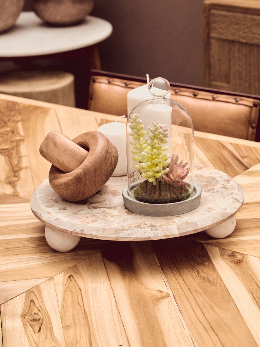 Fiori Small Succulent Dome With Cement Base