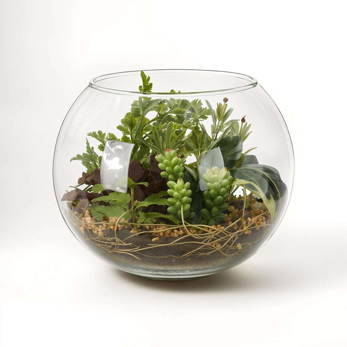 Fiori Large Terrarium