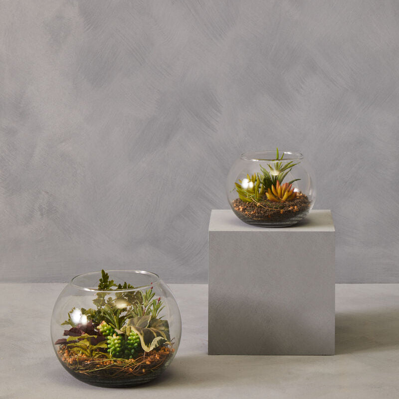 Fiori Large Terrarium