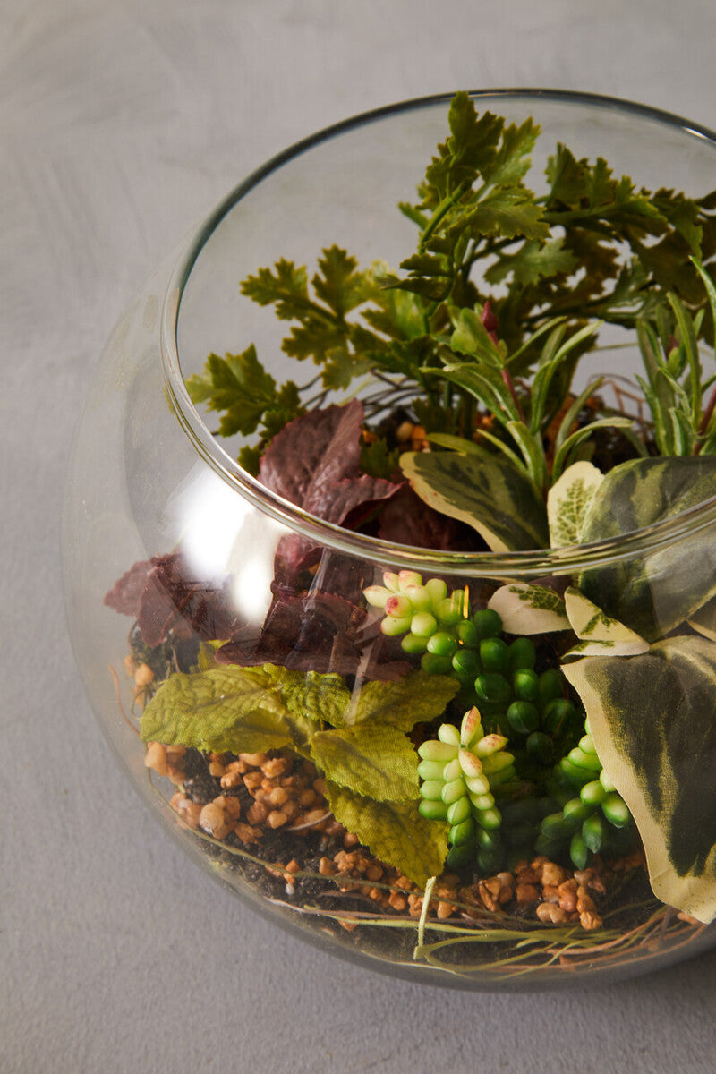 Fiori Large Terrarium