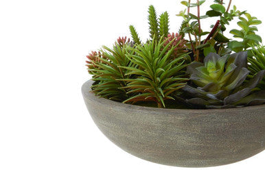 Mixed Succulent in Stone Effect Pot | Fiori
