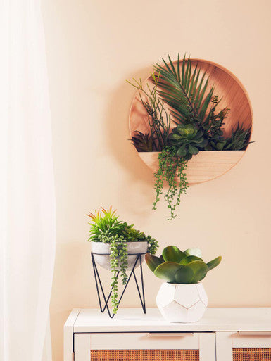 Fiori Mixed Succulent with Metal Stand