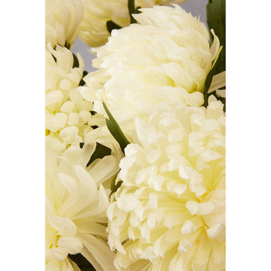 Fiori White Chrysanthemum Flower Stem