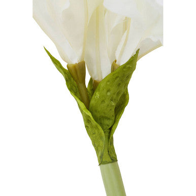 Fiori Ivory Amaryllis Flower Stem
