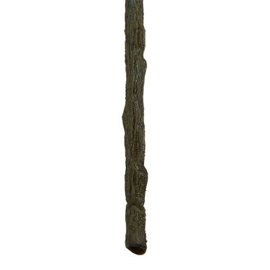 Fiori Tall Bird Of Paradise Flower Stem